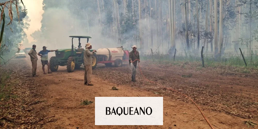 Marcos Dal Mazo:” Por los incendios se perdieron cerca de siete mil hectáreas en Federación”.