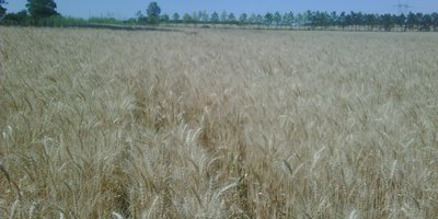 183.jpg