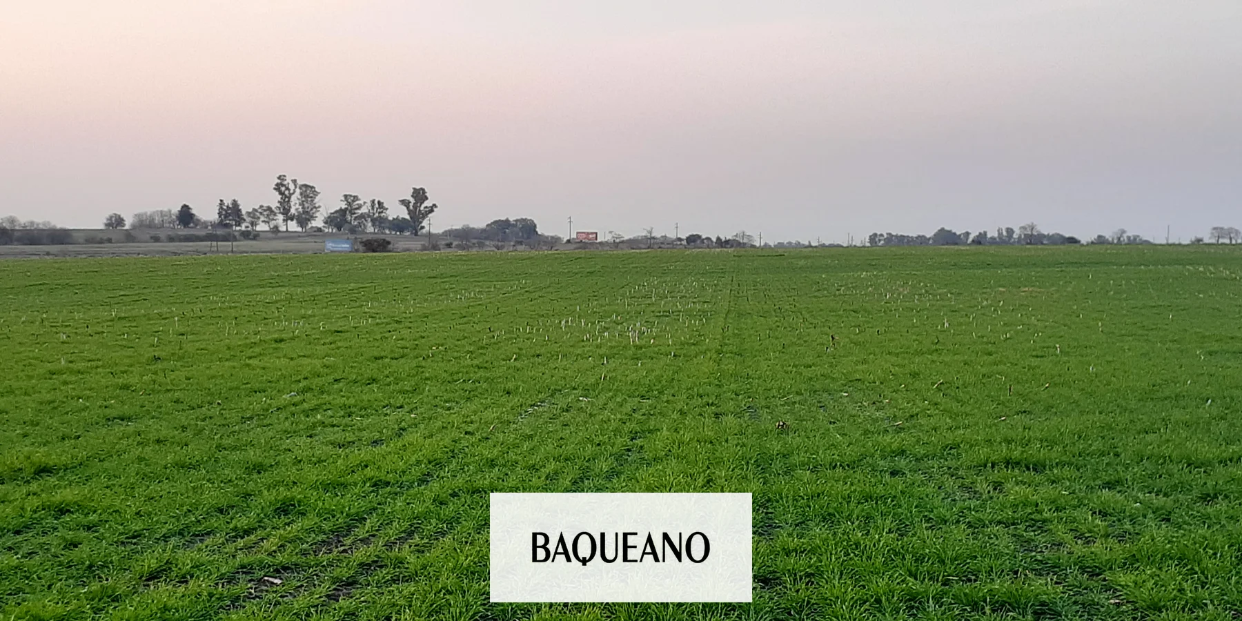 Cae el consumo de fertilizantes en Argentina durante la campaña 2023/24