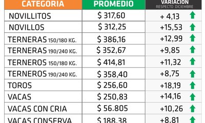 Cuadro - Enero 2023.jpg
