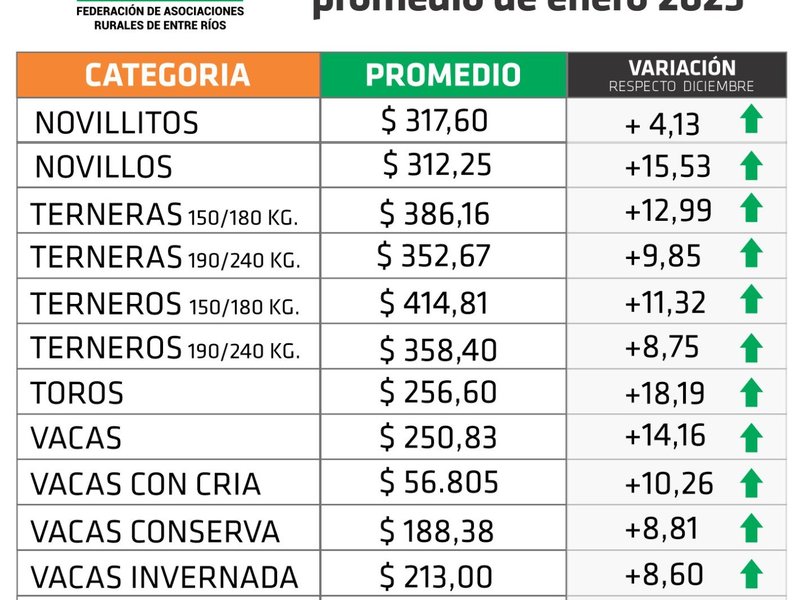 Cuadro - Enero 2023.jpg