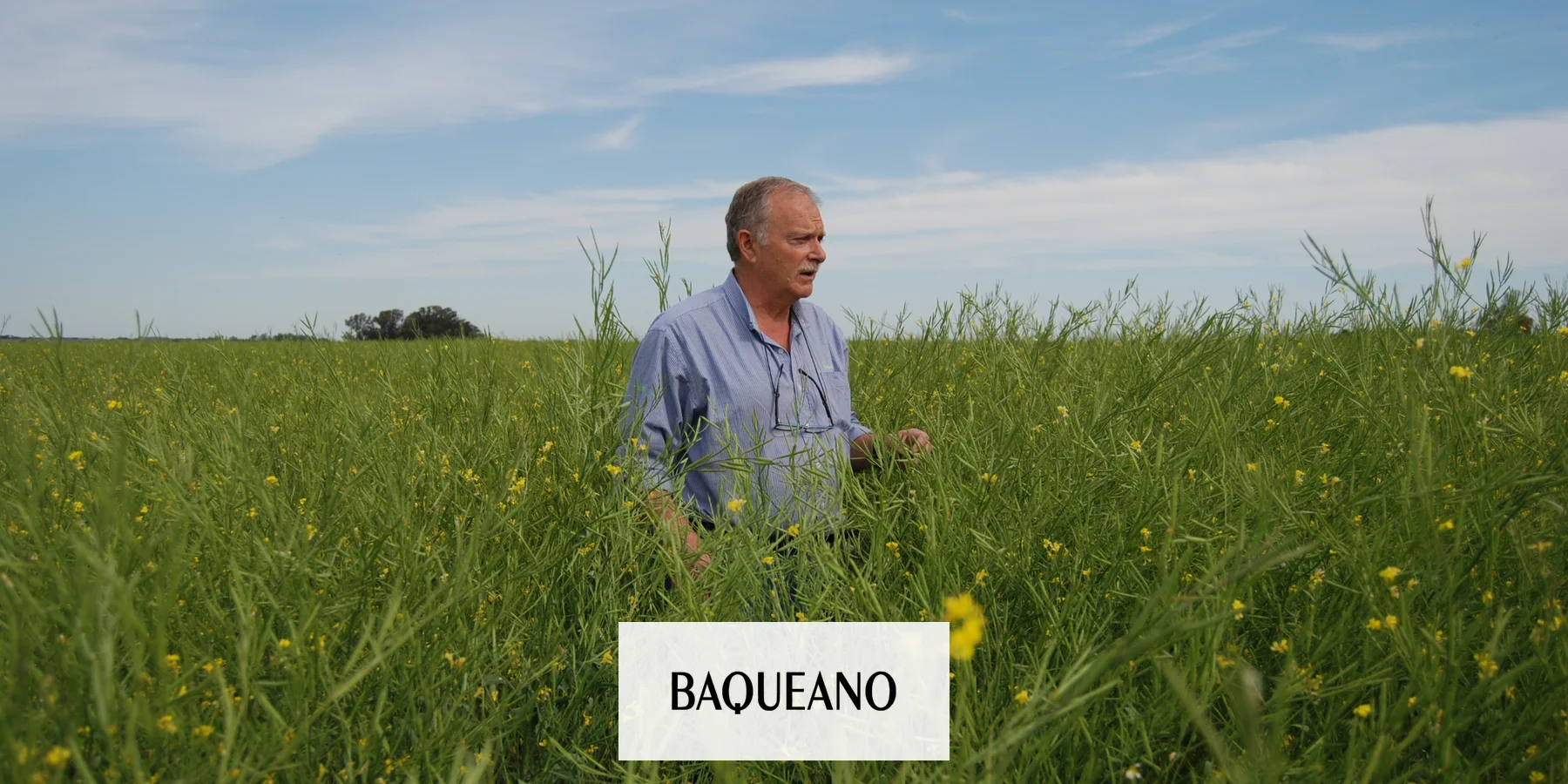 Salió la última edición 2020 de BAQUEANO