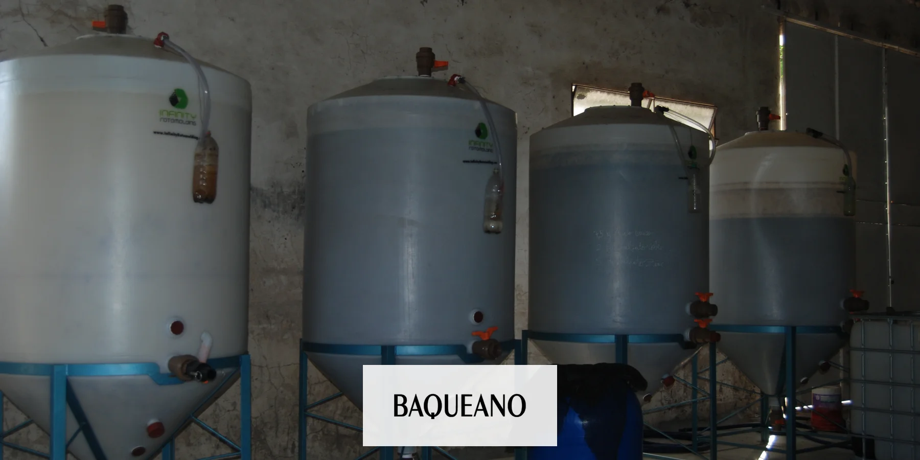 PRODUCCION HORTÍCOLA AGROECOLOGICA MUNICIPAL GUALEGUAYCHÚ