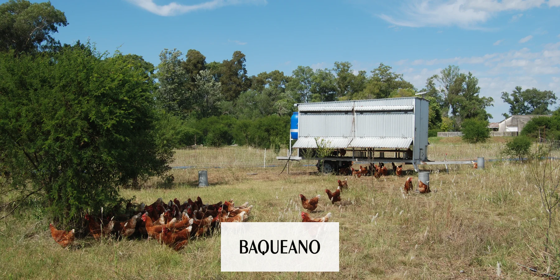 Mattiauda pidió informes por las viviendas que se construirían en un área protegida de Gualeguaychú