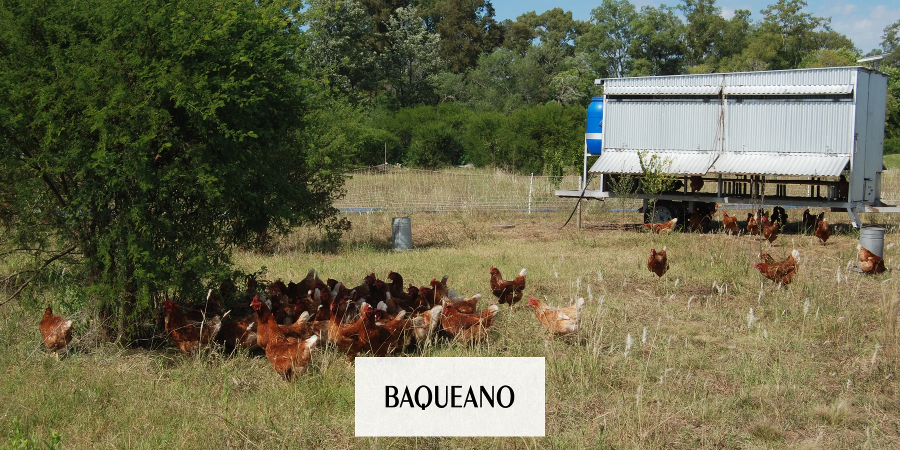 PRODUCCION HORTÍCOLA AGROECOLOGICA MUNICIPAL GUALEGUAYCHÚ