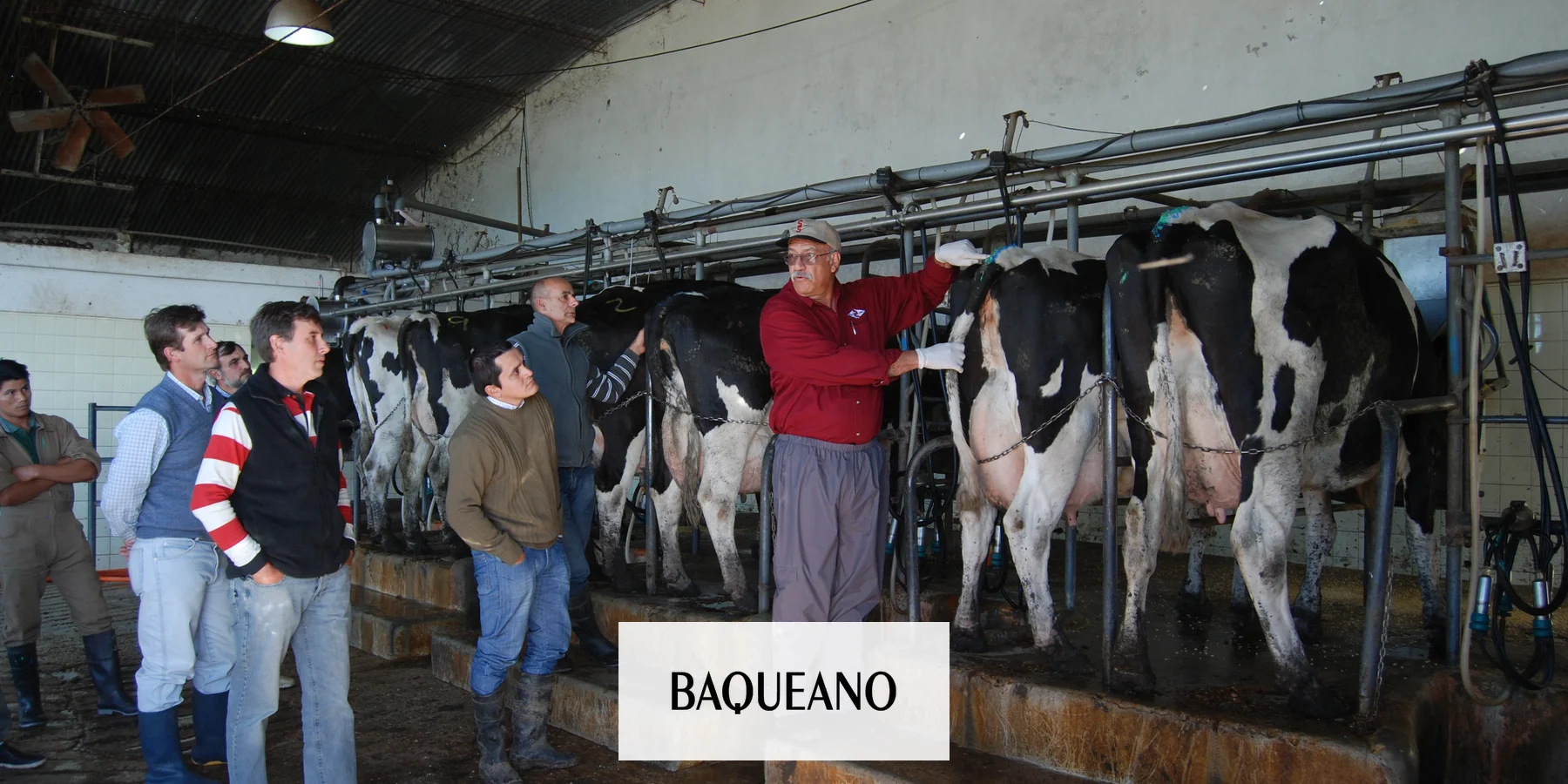 Los precios de los lácteos fueron los más rezagados del rubro alimentos y bebidas durante 2022