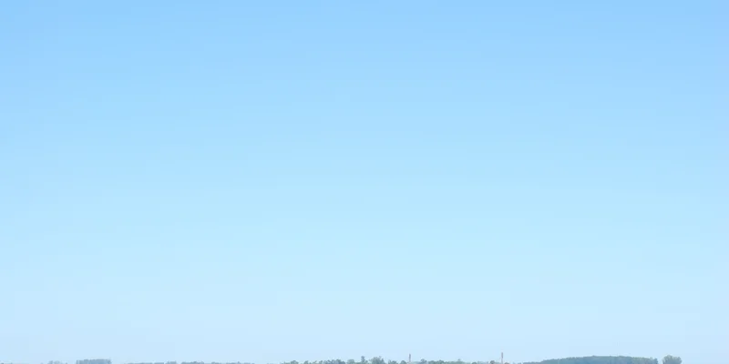 DSC_6455.JPG