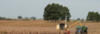 DSC_7188.JPG