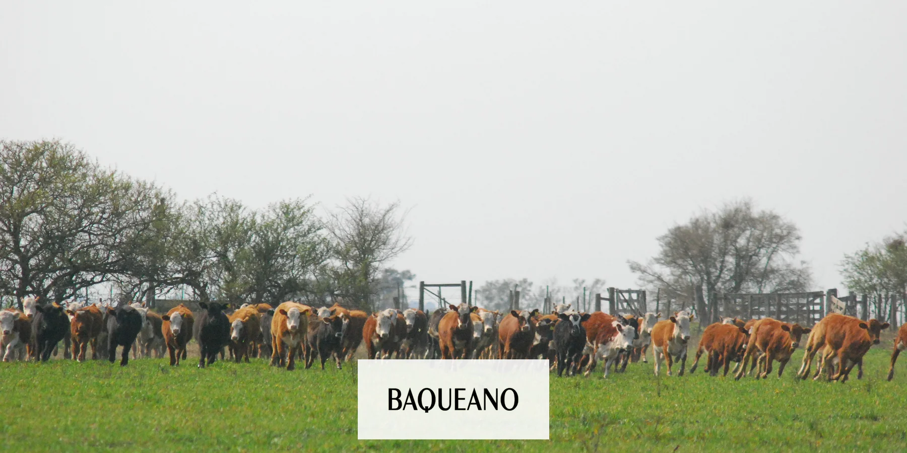 La muestra gandera de Gualeguaychú será el 11 y 12 de septiembre