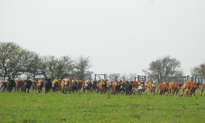 DSC_7332.JPG
