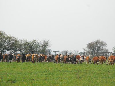 DSC_7332.JPG