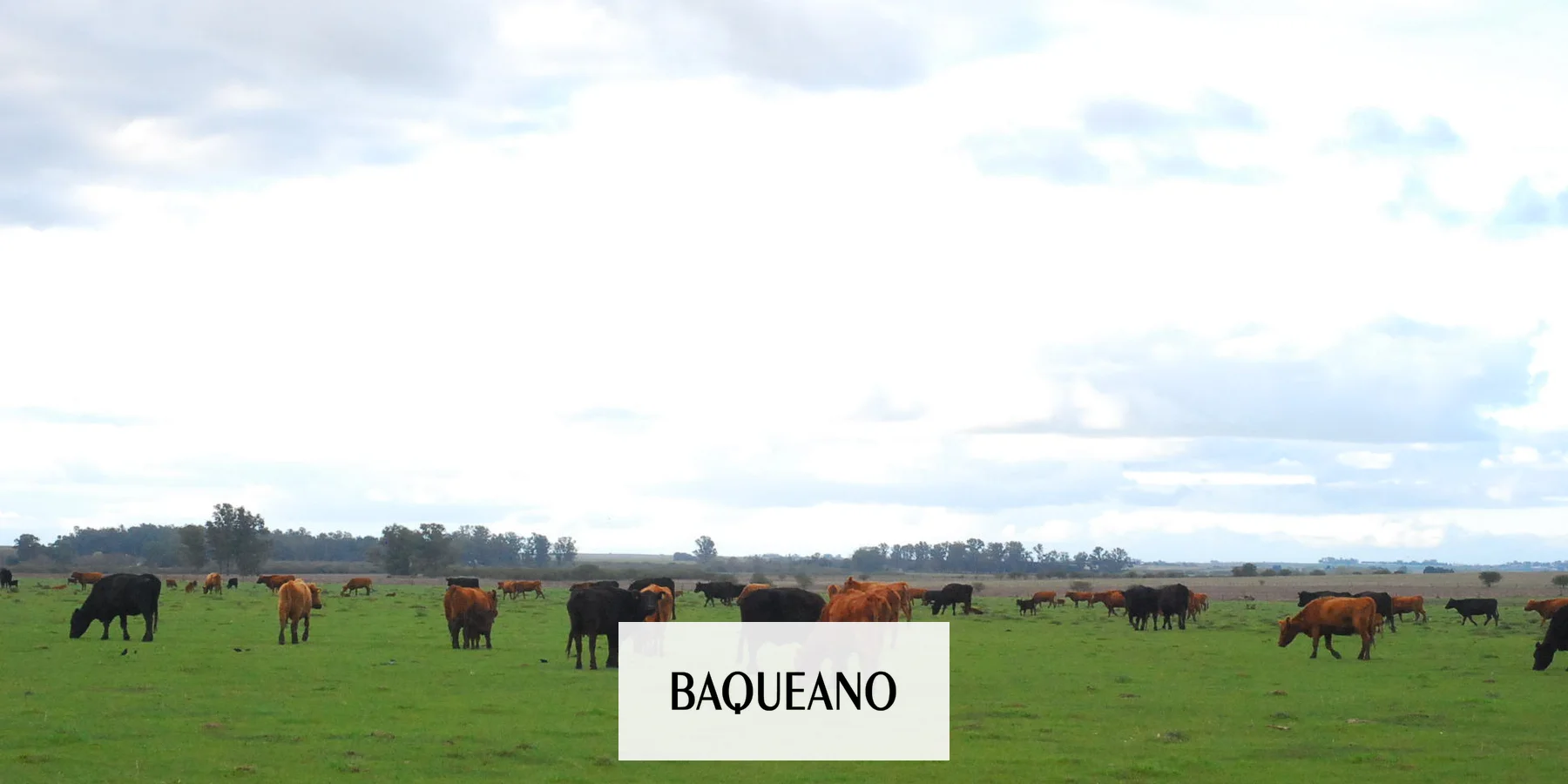Segunda Jornada de capacitación del Plan ganadero entrerriano