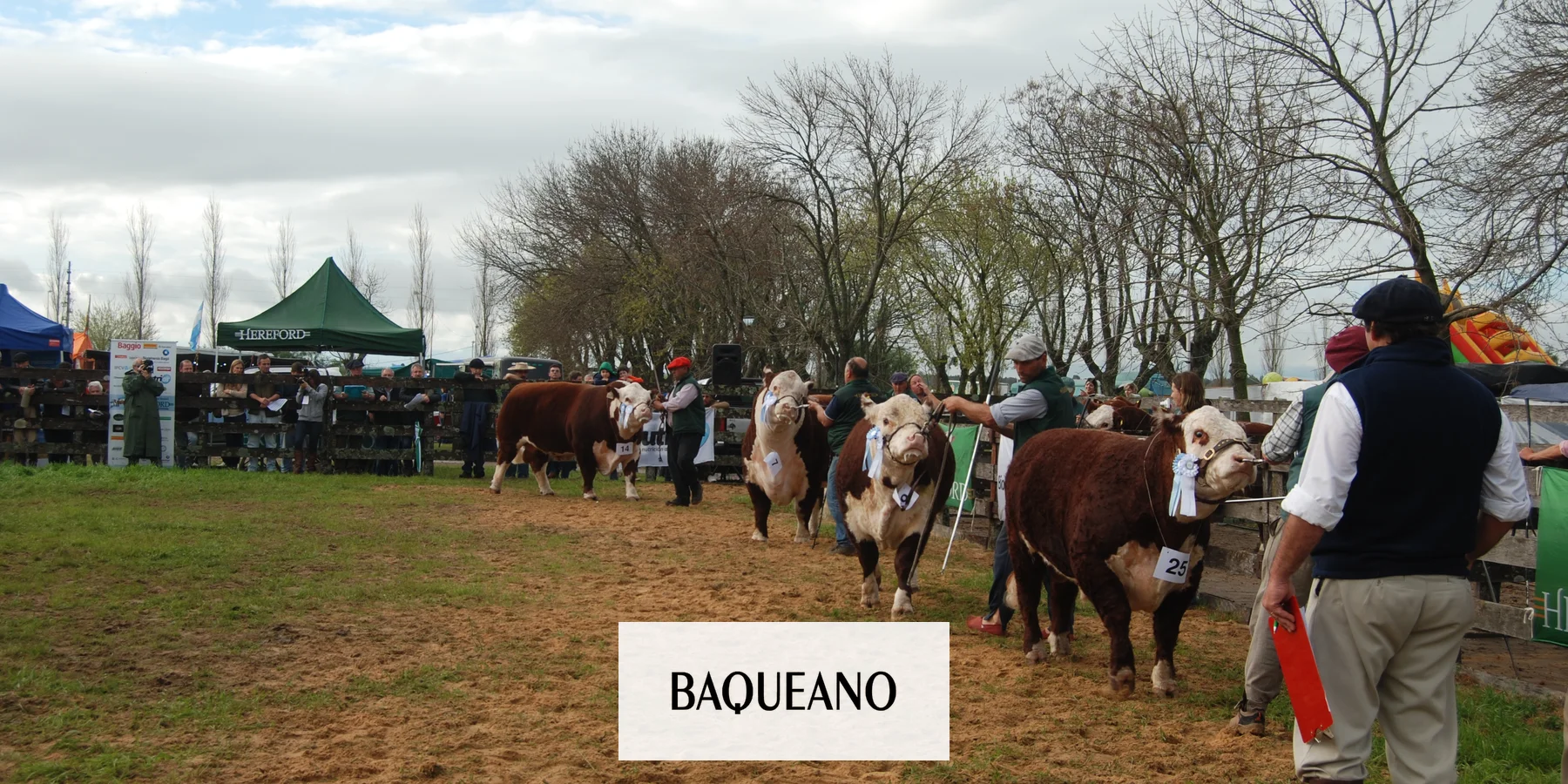 Muestra Ganadera en vez de la tradicional Expo Rural Gualeguaychú
