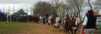 DSC_7462.JPG