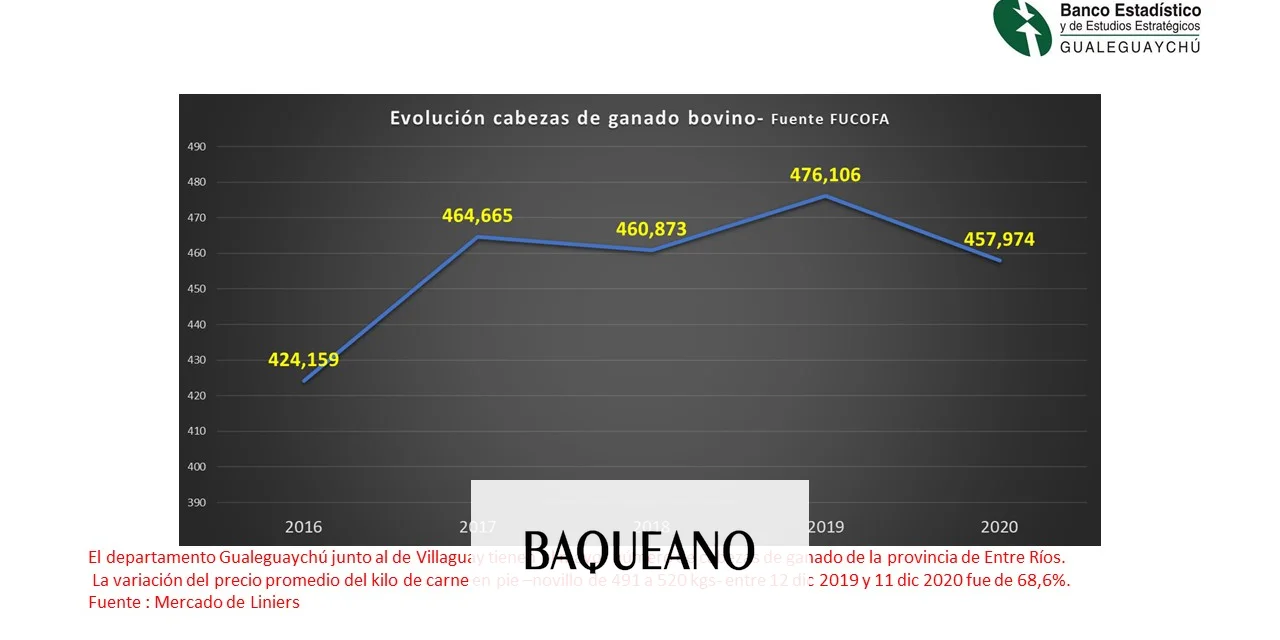 Radiografía del sector agropecuario entrerriano