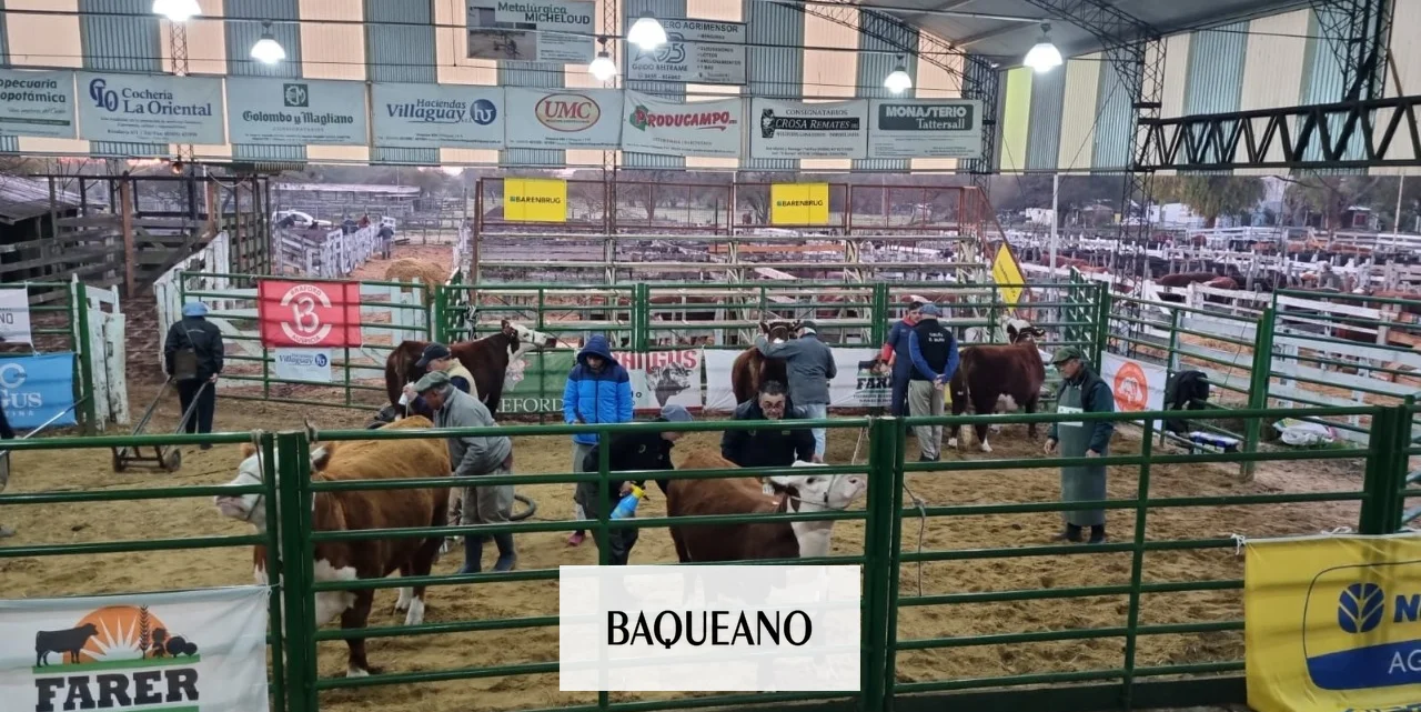 CON BUEN DESEMPEÑO VAN FINALIZANDO  LAS EXPOSICIONES RURALES DE ENTRE RIOS