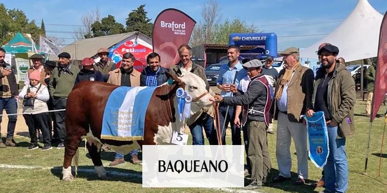 CON BUEN DESEMPEÑO VAN FINALIZANDO  LAS EXPOSICIONES RURALES DE ENTRE RIOS