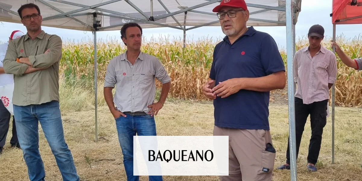 Recorrida de Ensayos de Maíz LG en Entre Ríos