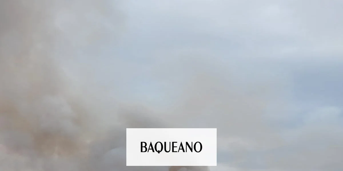 Ley de humedales: ¿causa o consecuencia de los incendios?