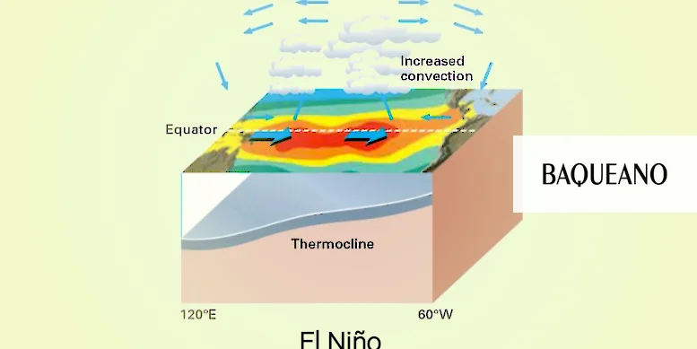 Comienza la siembra de cultivos de verano en presencia de El Niño