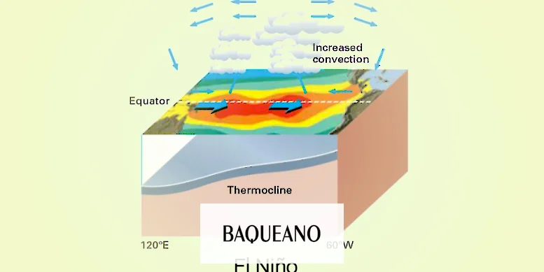 Comienza la siembra de cultivos de verano en presencia de El Niño
