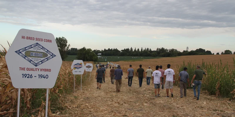 Recorrida de maíces y soja del grupo de Entre Rios participante del Concurso Brechas