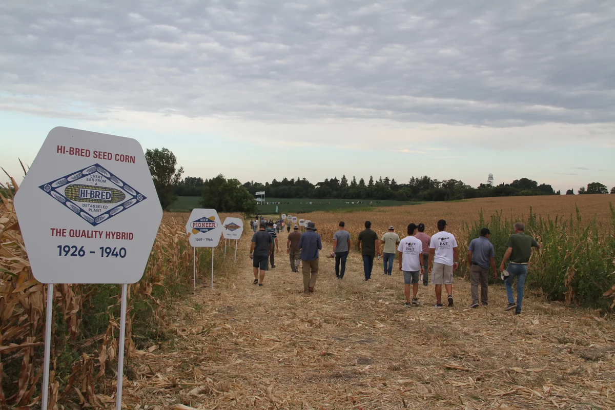 Recorrida por ensayo de maíz