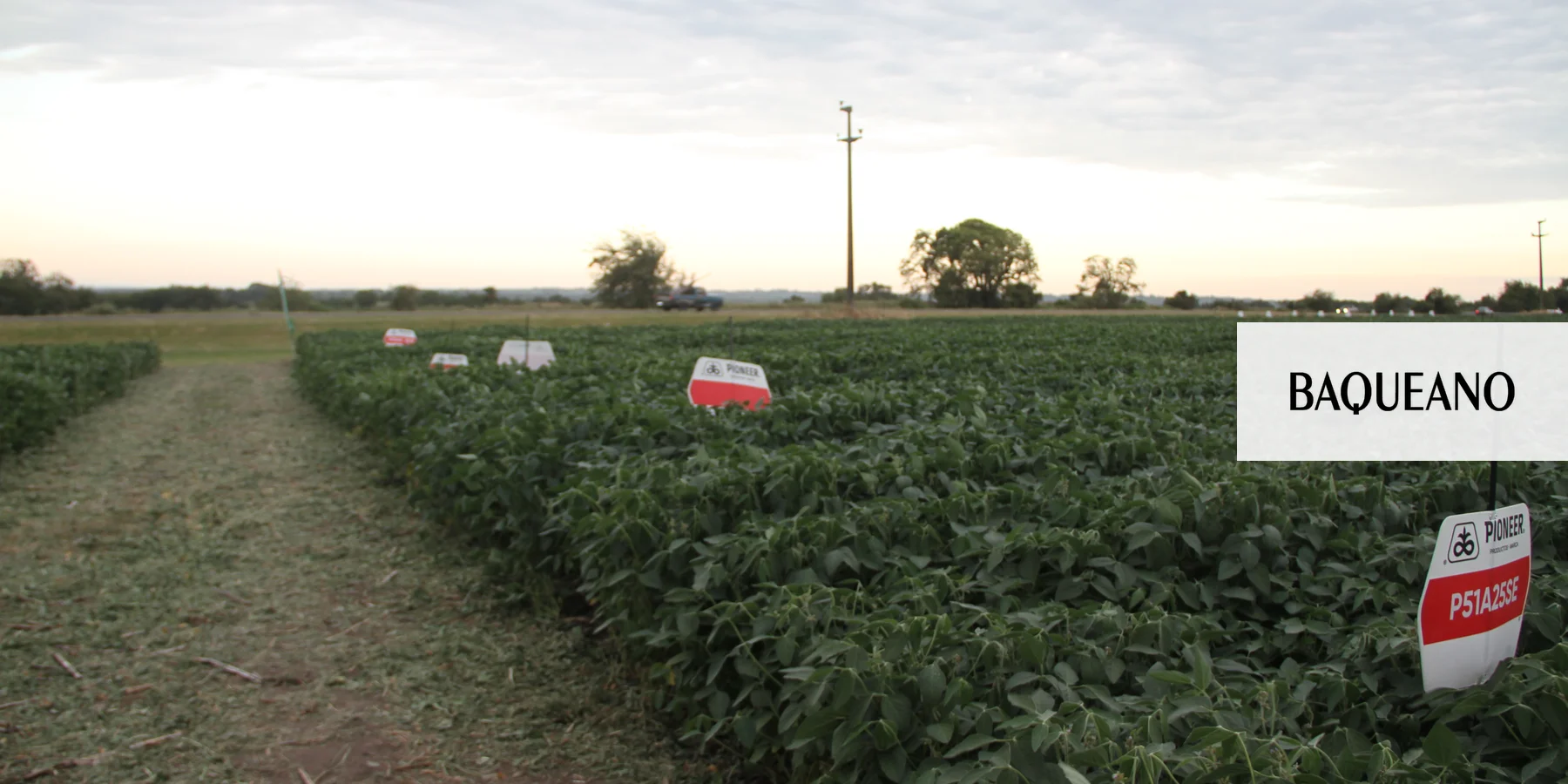 Entre Rios presente por primera vez en la competencia Brechas Pioneer