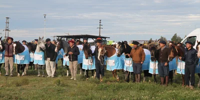 IMG_7219