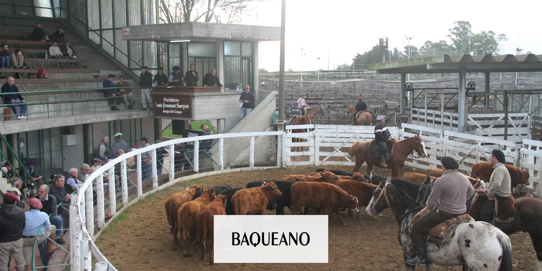 Remate de Daroca-Buschiazzo: firme demanda y valores destacados el 27 de julio