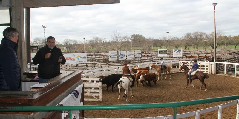 Atilio Solis rematando en Sociedad Rural Gualeguaychú
