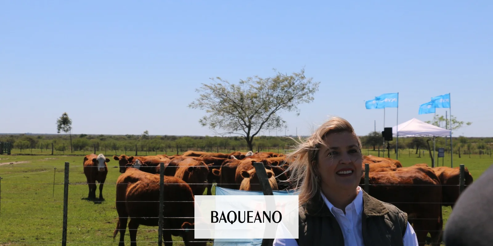 “Ganadería de precisión y mercados globales: más de 500 productores en la Jornada del IPCVA en Paso de los Libres”