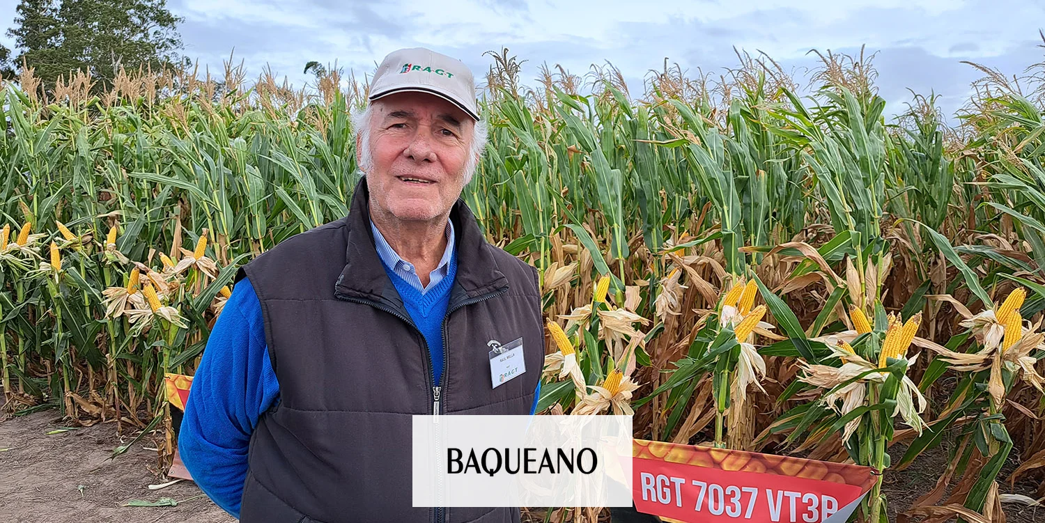 Maíz, girasol y una amplia variedad de sorgos tolerantes a pulgón amarillo, razones del crecimiento de RAGT Semillas