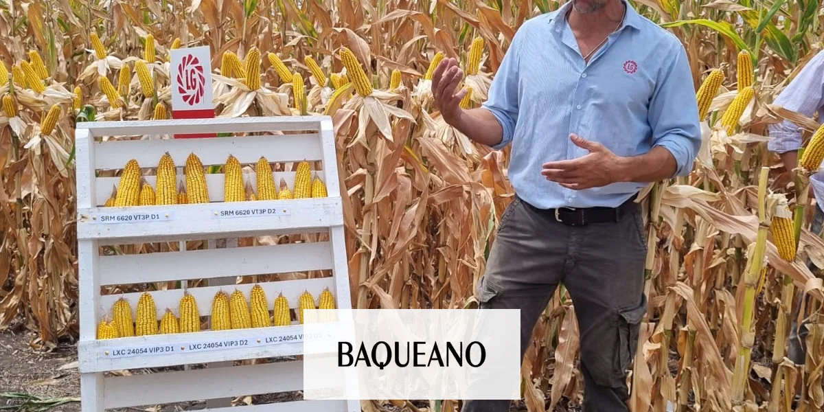 Recorrida de Ensayos de Maíz LG en Entre Ríos