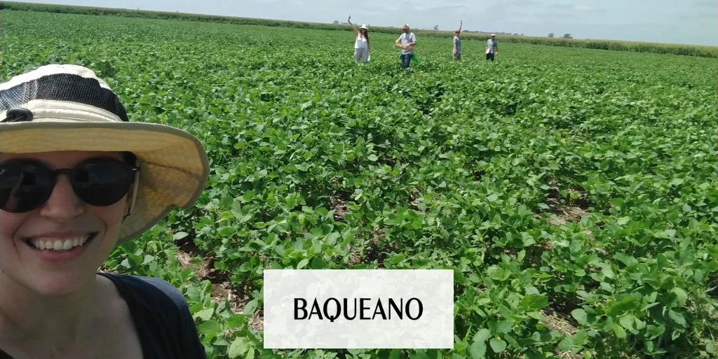 Mejoran la fijación de nitrógeno en soja con un método físico