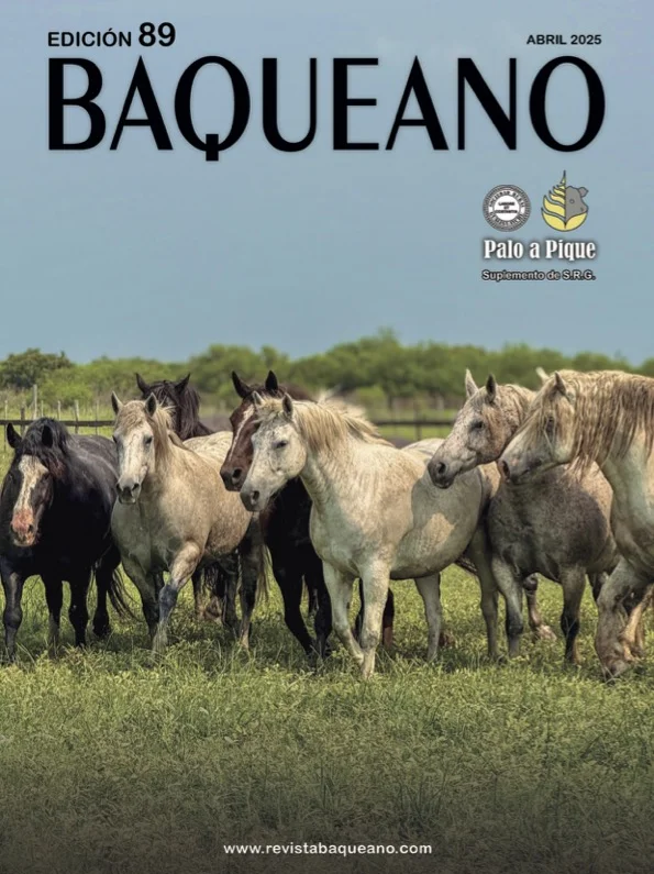 Portada - Baqueano Edición 89