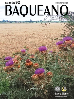 Portada - BAQUEANO