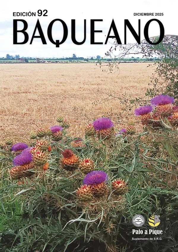 Portada - BAQUEANO