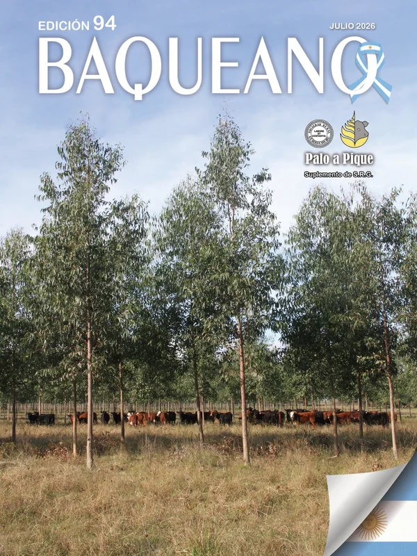 Portada - BAQUEANO