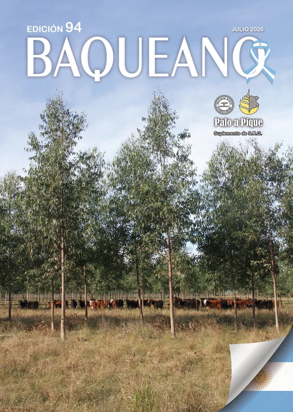 Portada - BAQUEANO