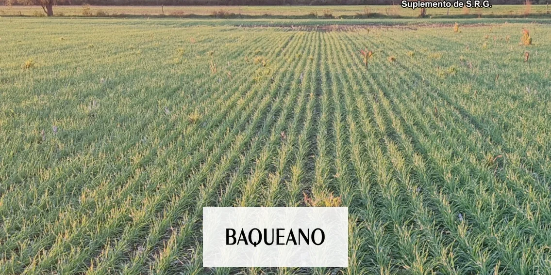 Salió la edición 86 de Baqueano