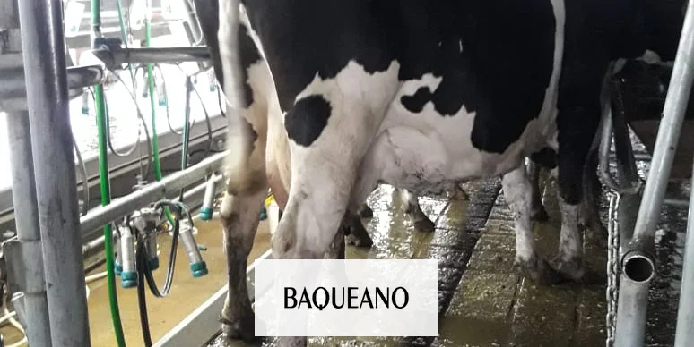 Más control para los exportadores de carne, leche y granos