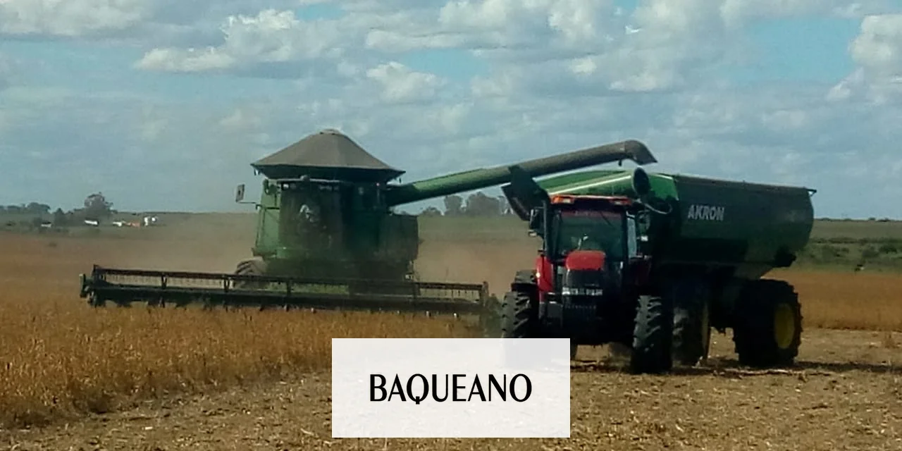 SOJA CON BUENOS PRECIOS PERO ESCASA
