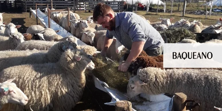 PRODUCCION DE LECHE OVINA EN GUALEGUAYCHÚ