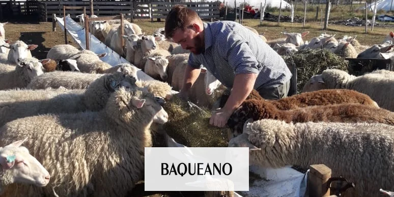 PRODUCCION DE LECHE OVINA EN GUALEGUAYCHÚ