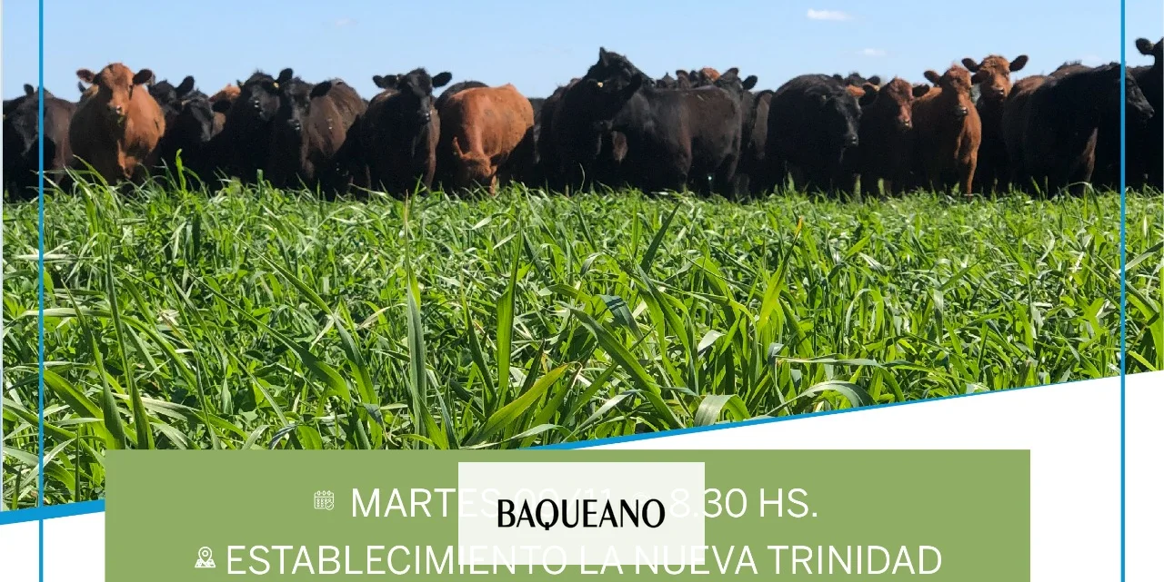 Jornada de pasturas en el litoral