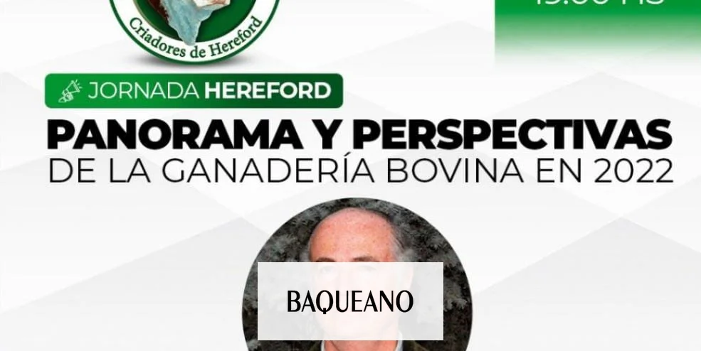 LOS BUENOS VALORES DE LA CARNE SOBREVIVEN, PESE A LAS MEDIDAS DEL GOBIERNO