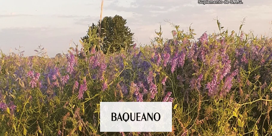 SALIO LA EDICIÓN DE MAYO DE BAQUEANO