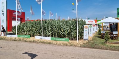 WhatsApp Image 2023-03-10 at 16.18.10.jpeg