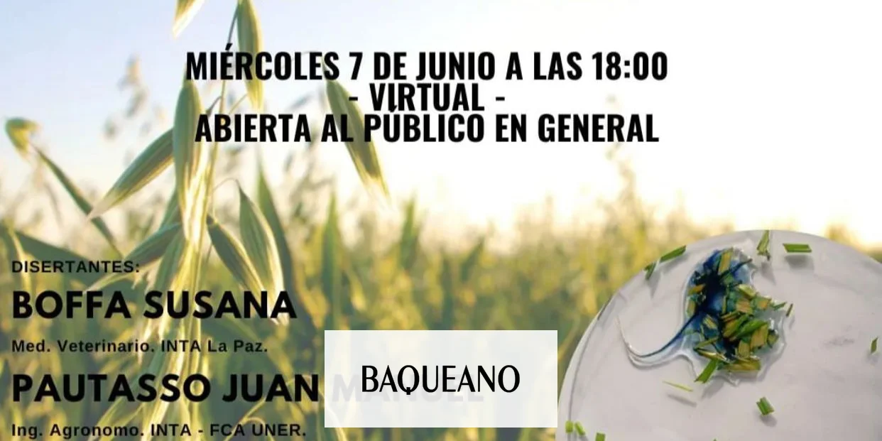 SIGUE EL ALERTA POR LA TOXICIDAD POR NITRATOS DE LOS VERDEOS